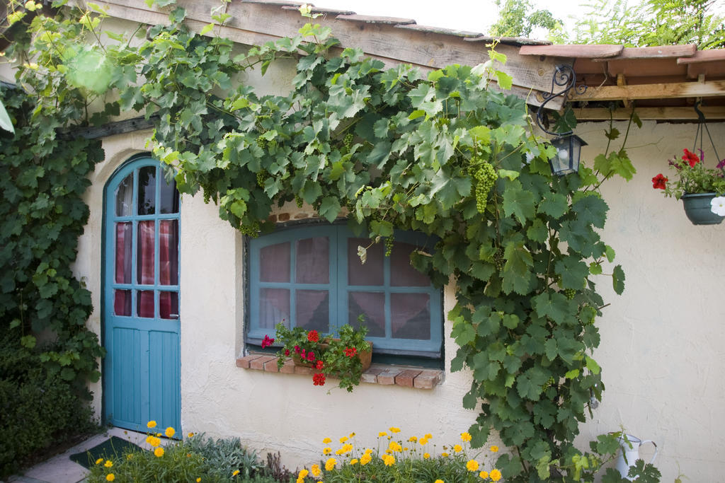 Chambre d'Hôtes Oeuil de Bouc Madiran Quarto foto
